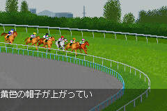 Derby Stallion Advance